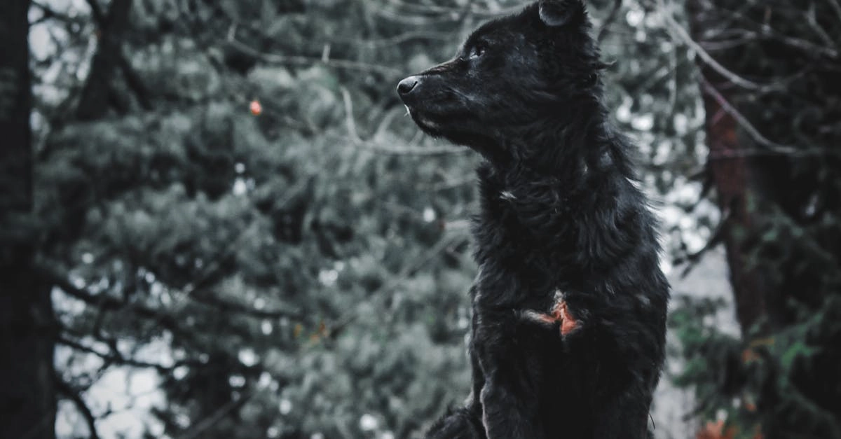 Программы лояльности без депозита в игорной индустрии