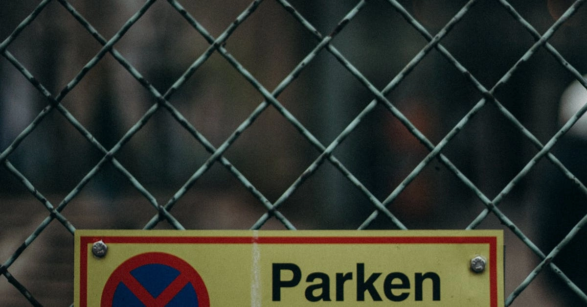 Немецкие игорные сайты: регулирование и социальные последствия